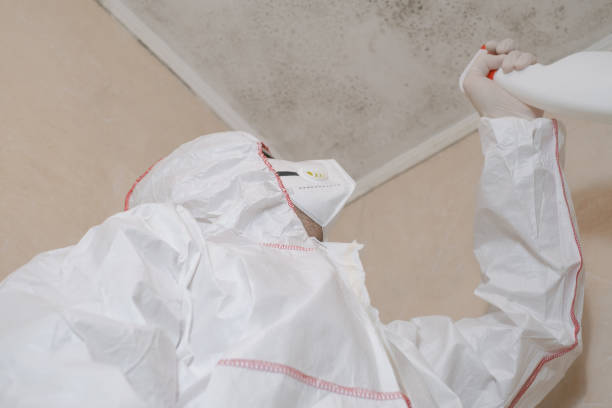 Best Residential Mold Removal  in Waihee Waiehu, HI