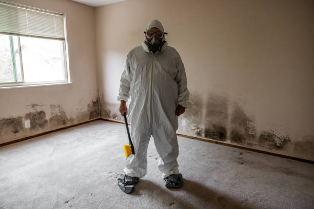 Best Mold Removal Process  in Waihee Waiehu, HI